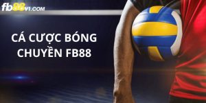 Cá cược bóng chuyền FB88