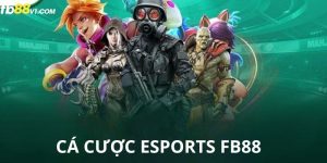 Cá cược esports FB88
