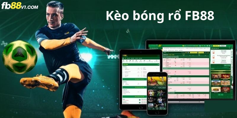 Thể thao FB88 hỗ trợ cá cược đa môn – không chỉ riêng bóng đá