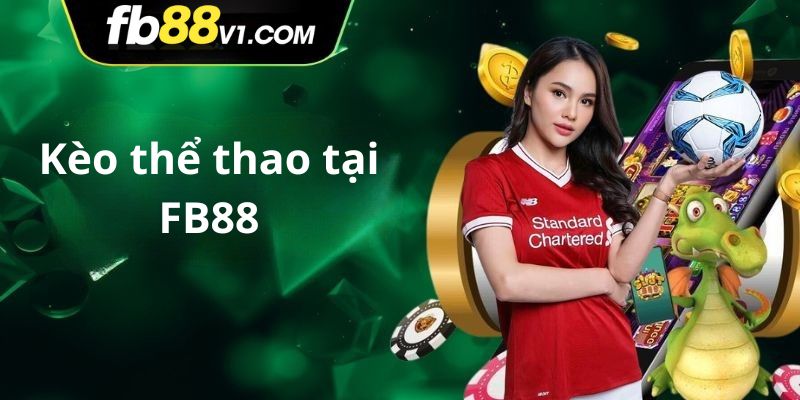 Tỷ lệ kèo bóng đá tại FB88 được hiển thị rõ ràng, minh bạch và chính xác